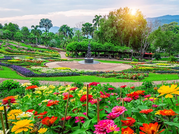 Commercial Landscaping Services